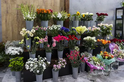 Kwiaciarnia "Przyjaciółka Kwiatów" Iwona Łach